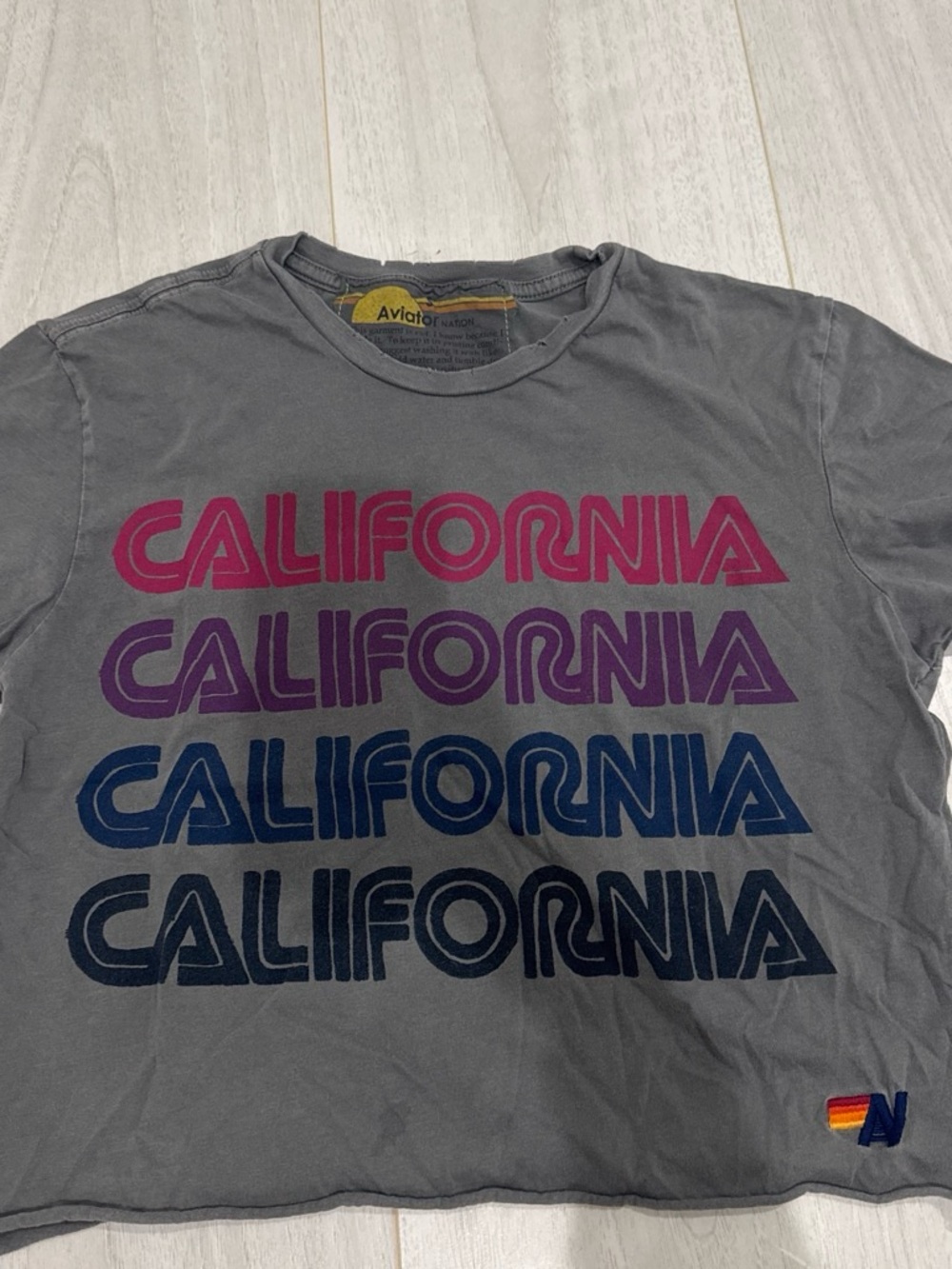 Aviator Nation Gray Tee with Pink, Purple & Blue "California" Stripes
